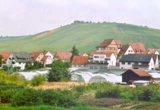 Blick über Schnait zum AP Riesen