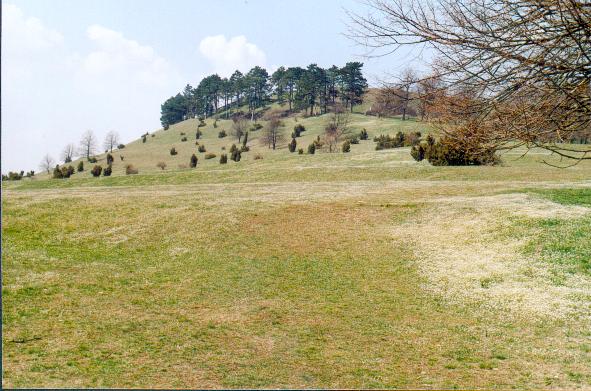 Der Ipf von Südosten (16.04.2004 / W.Fischer)