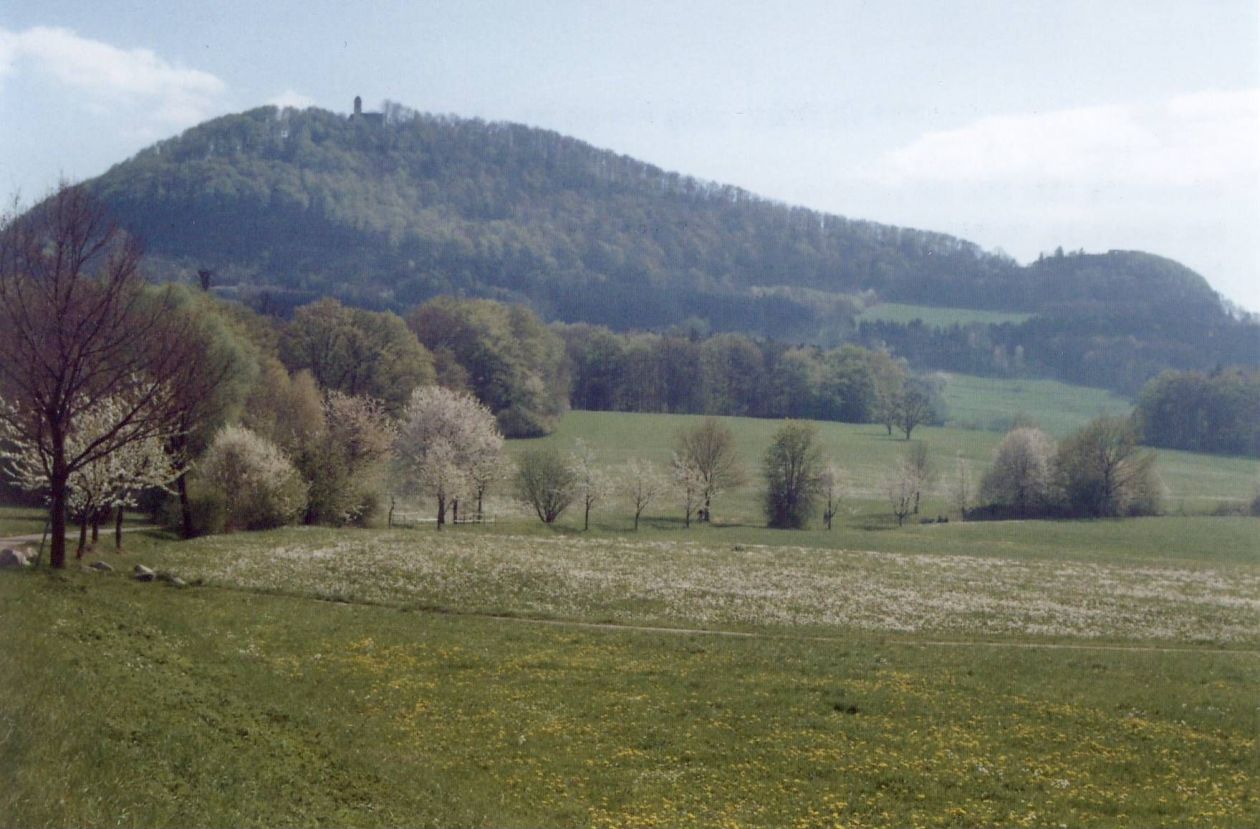 Rechberg (17.04.2011 / WF)