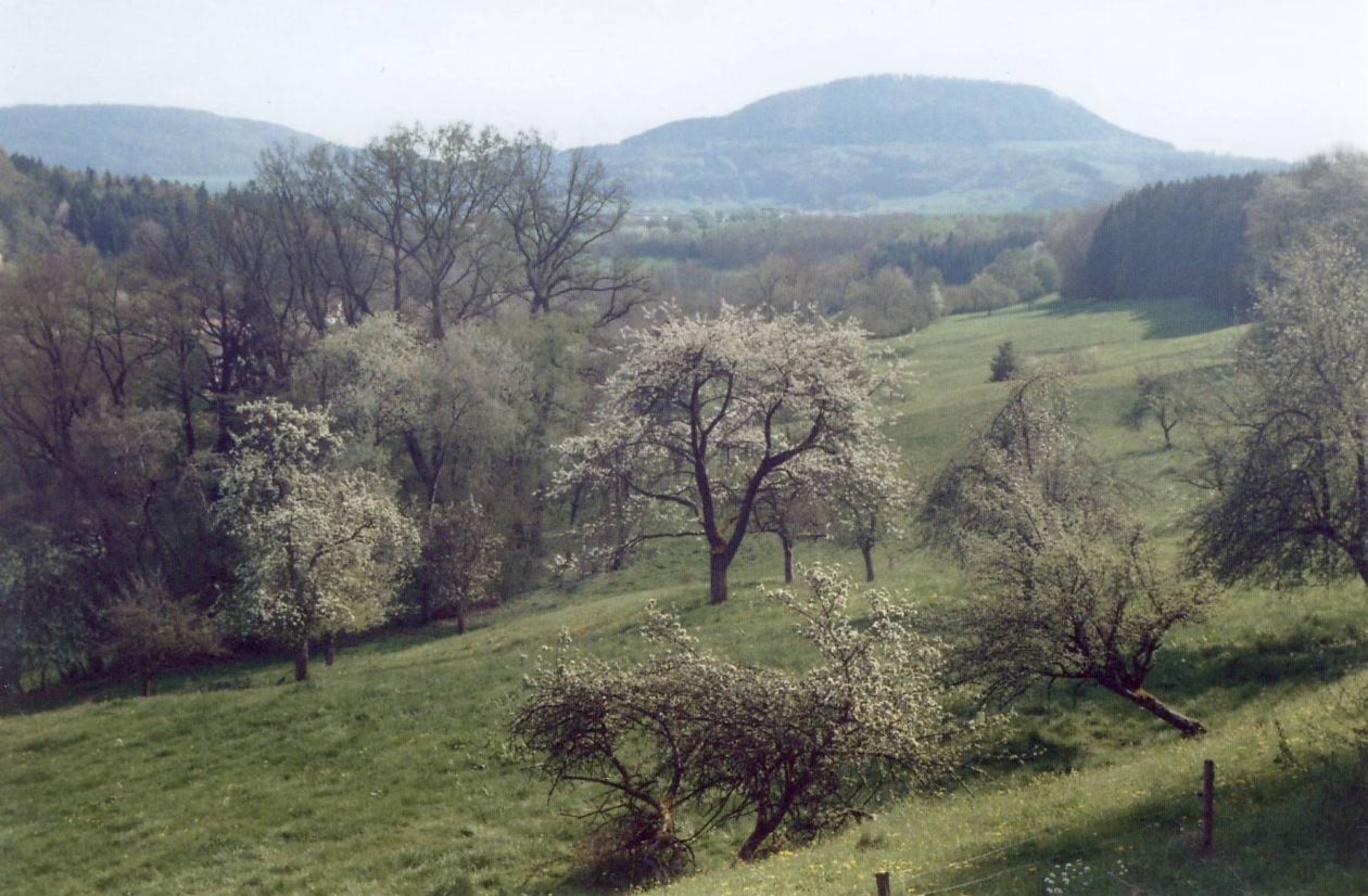 Stuifen (17.04.2011 / WF)